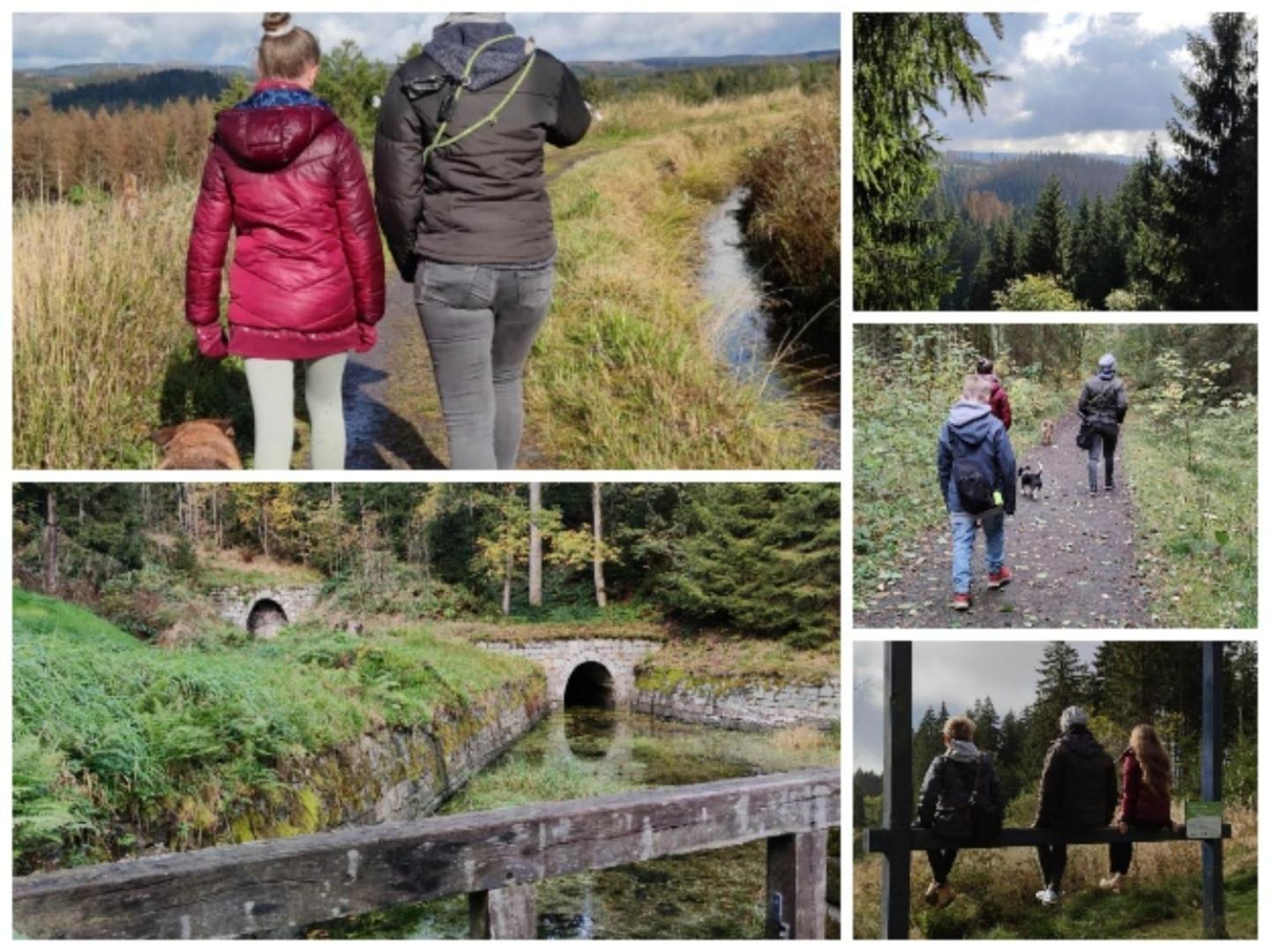Naturliebeharz Altenau  Eksteriør billede